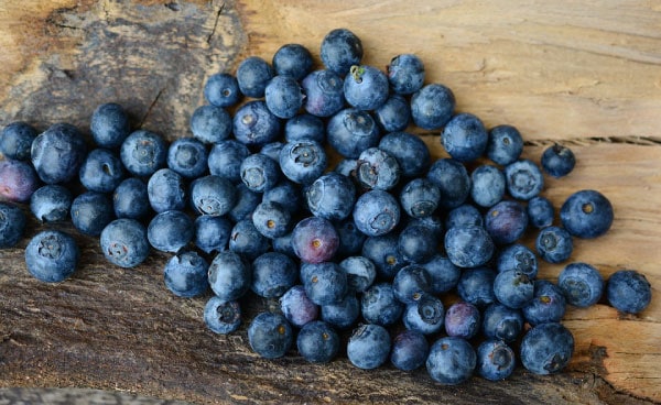 blueberry dog treat