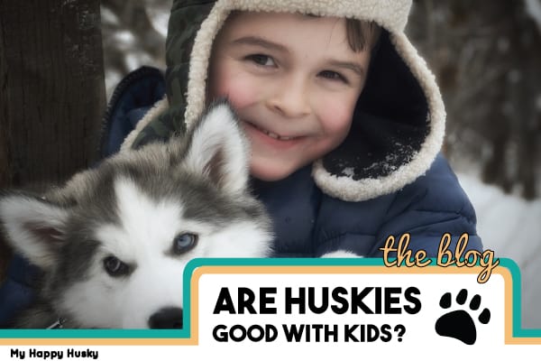 are alaskan husky good with kids