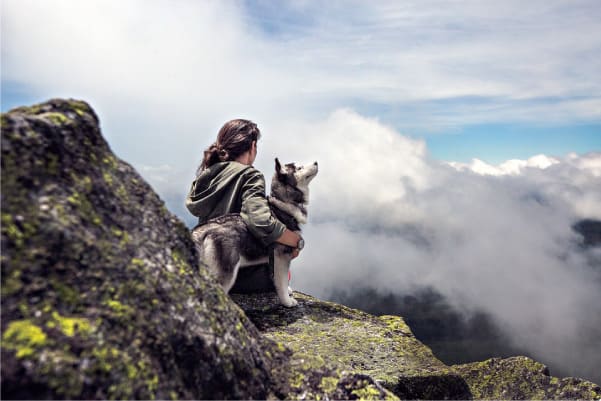 do huskies need another dog?