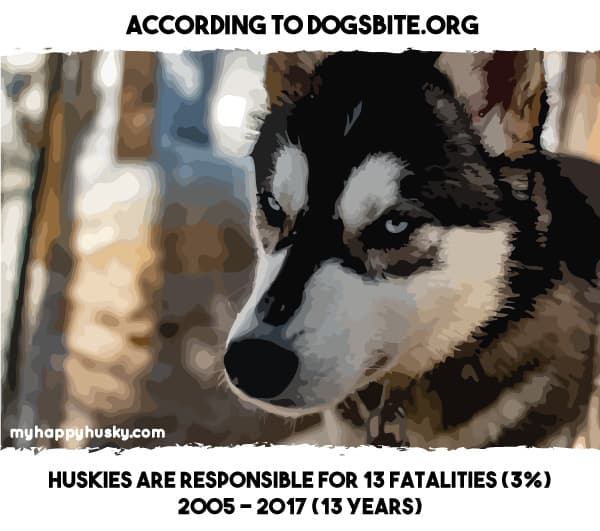 are siberian huskies on the dangerous dog list