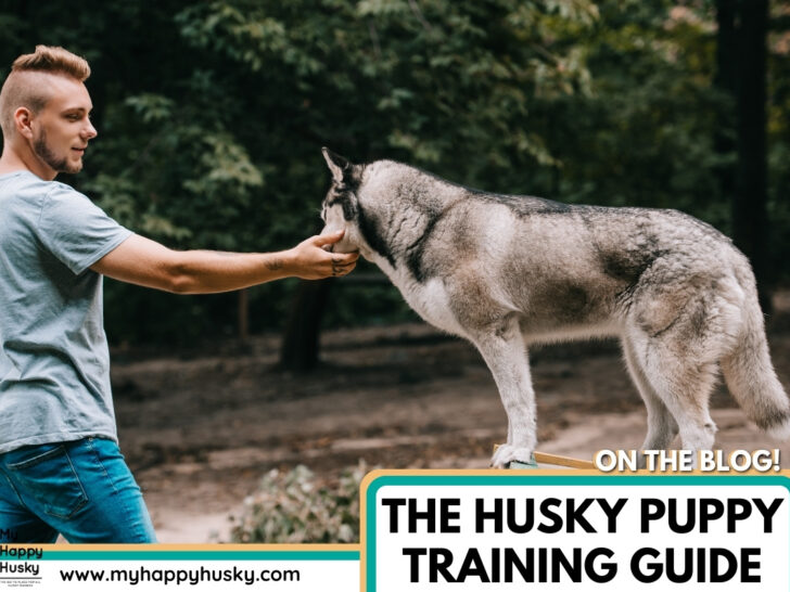 Best training treats deals for husky puppies