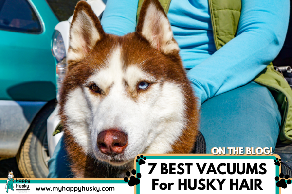 best vacuum for husky hair