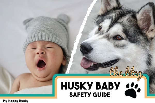 are siberian huskies good with small kids