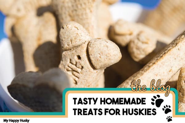 homemade husky treats