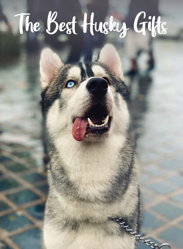 15 Brilliant Gifts Husky Owners Will LOVE
