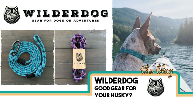 wilderdog banner