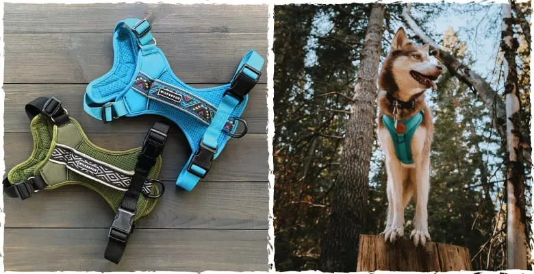 wilderdog harness