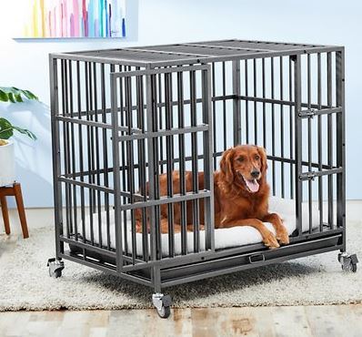 What Size Crate for a Husky