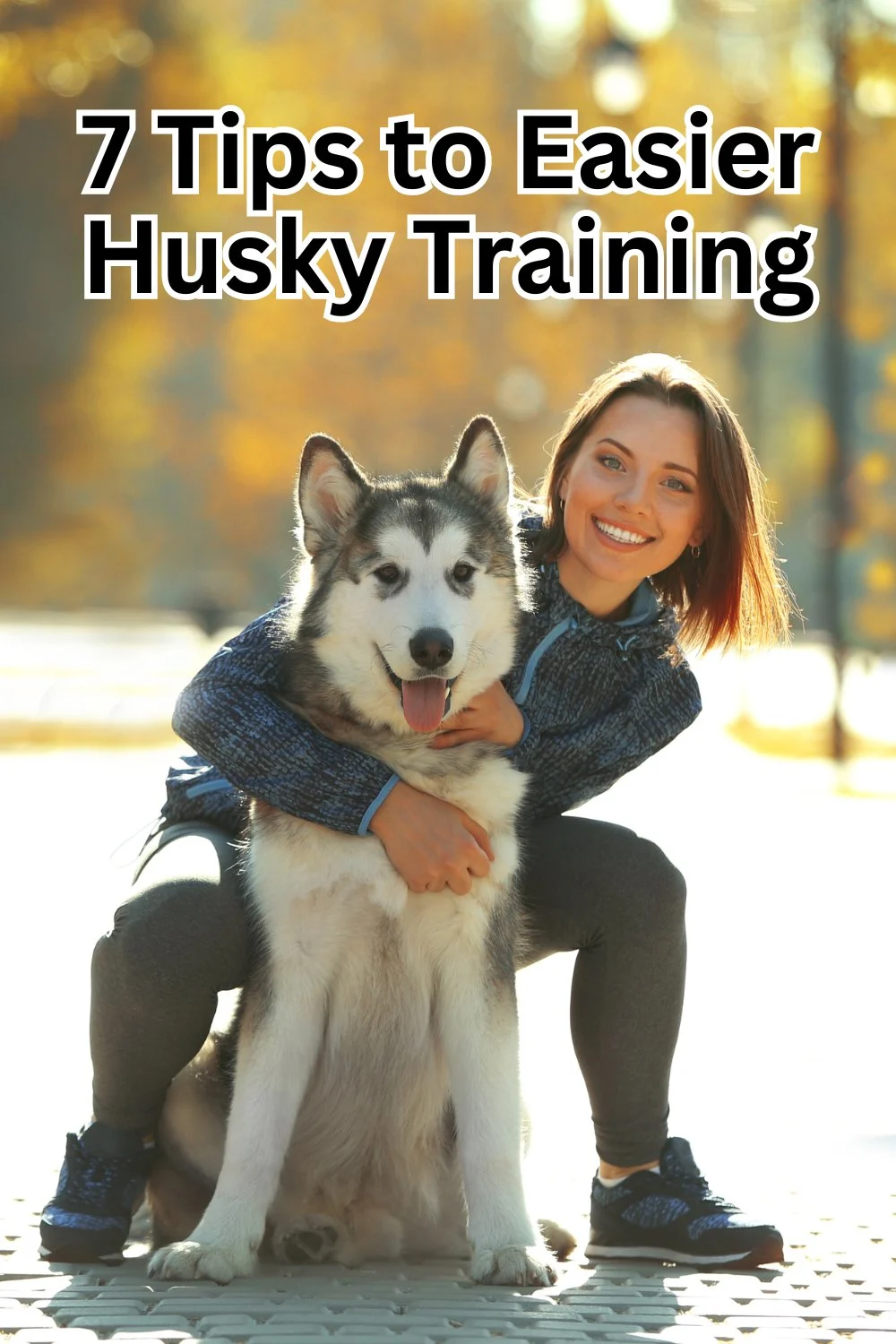husky training
