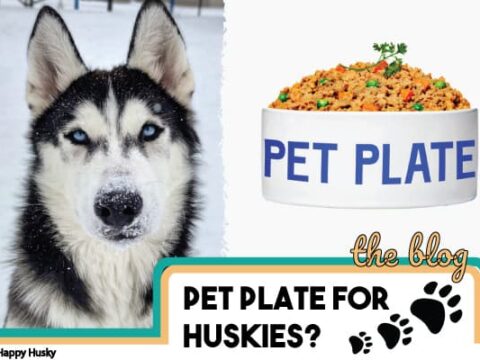 Pet Plate Reviews: Good Food For Siberian Huskies?