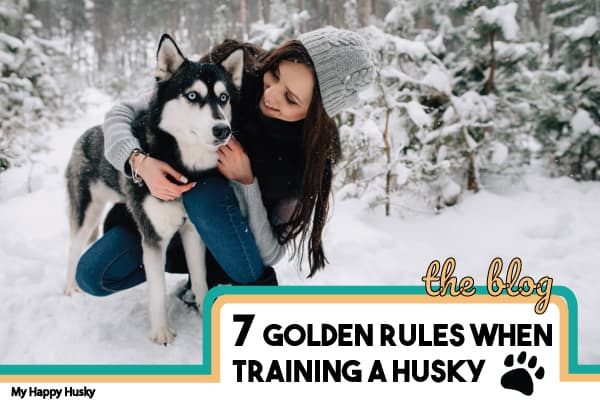 7 Golden Rules For Training ANY Husky