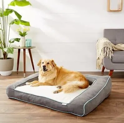best dog bed for a husky