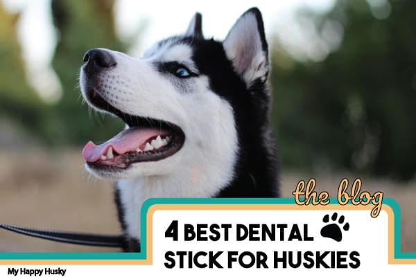 best dental sticks for dogs