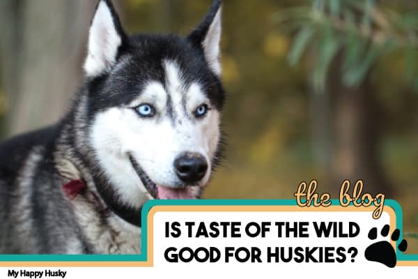 taste of the wild for huskies