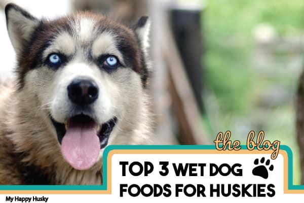 what is a good brand of dog food for a husky