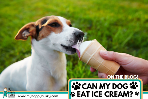 CAN-MY-DOG-EAT-ICE-CREAM