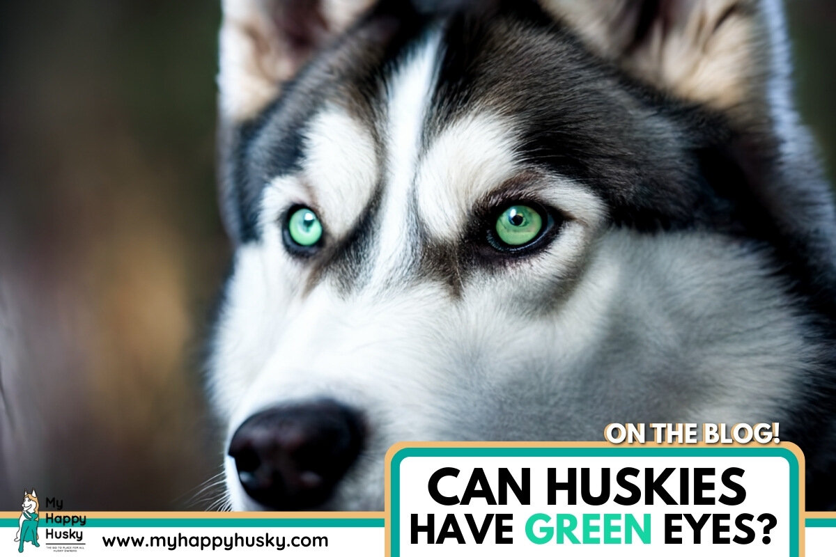 husky green eyes