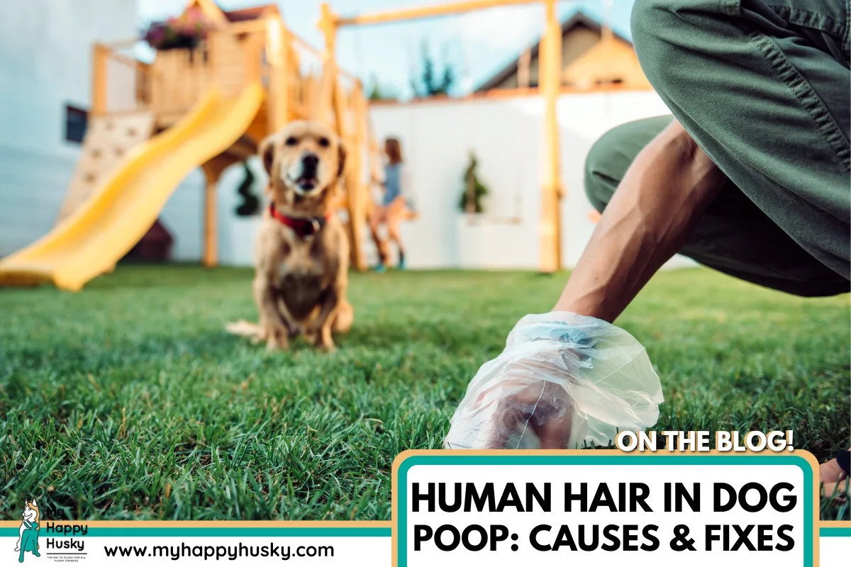 human hair in dog poop