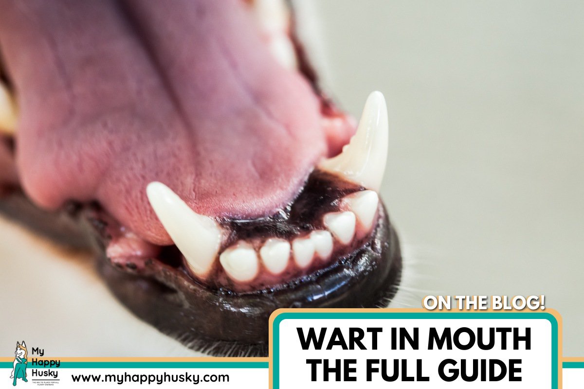 wart in dog mouth
