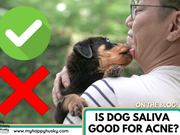 dog saliva good for acne