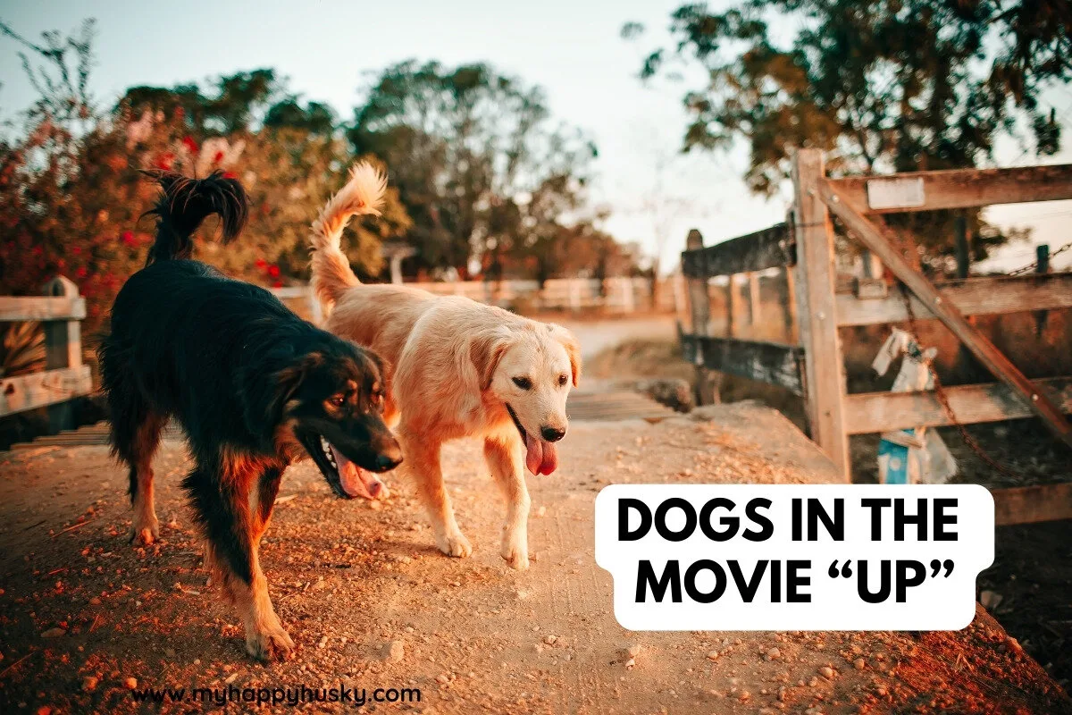 dogs in the movie up