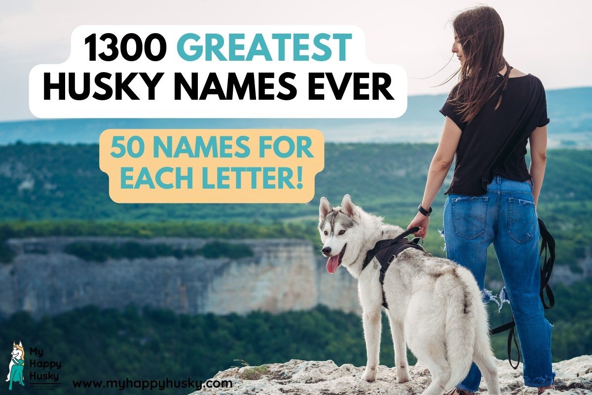 best siberian husky names ever