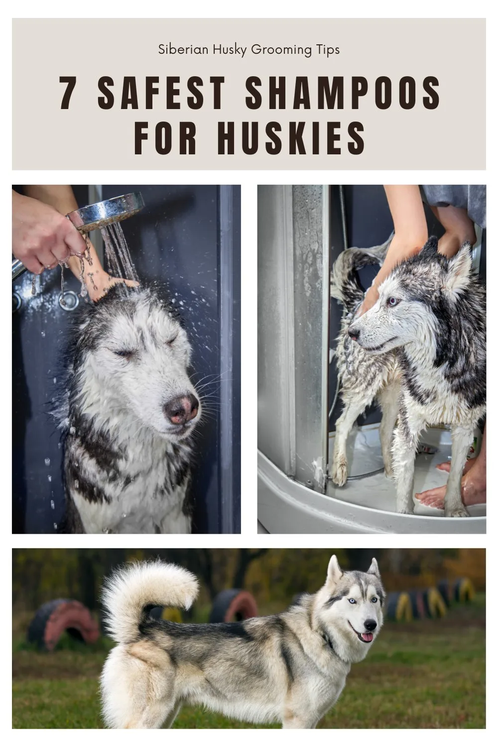 best shampoos for huskies