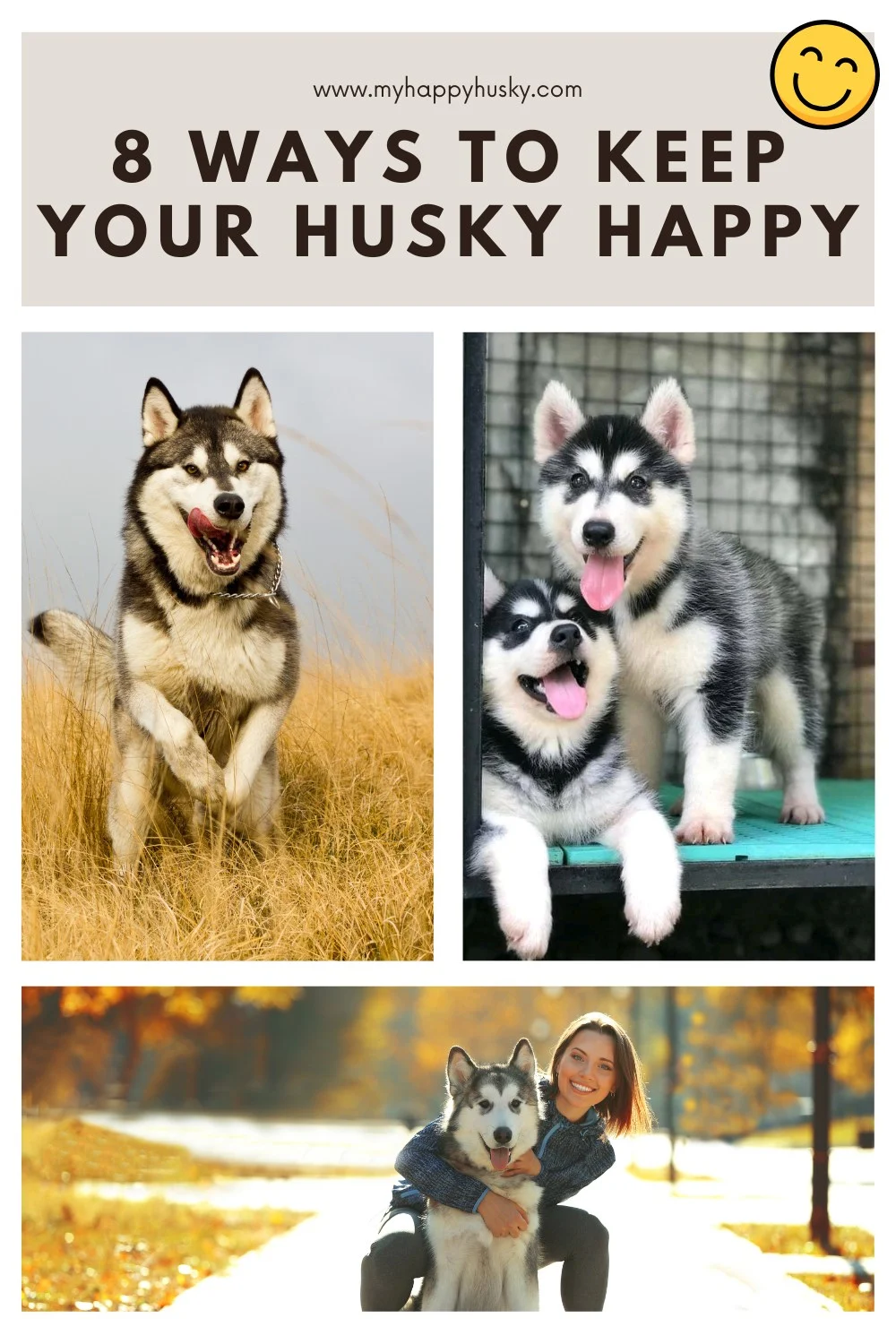 how to make your husky happy
